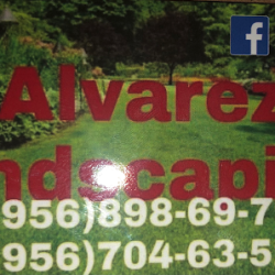 Negocio Alvarez Landscaping (Jardineros en Laredo)