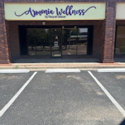 Negocio Armonia Wellness (Spa en Laredo)