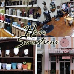 Negocio Aveda Hair Sensations (Centros de estetica en Laredo)