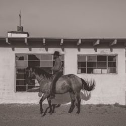 Negocio Boot Barn (Zapaterias en Laredo)
