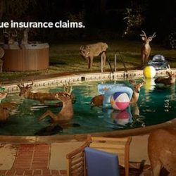 Negocio Farmers Insurance - Karen Alfaro (Seguros en Laredo)