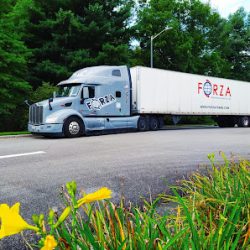 Negocio Forza Transportation Services (Oficinas de empleo en Laredo)