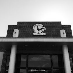 Negocio Gallo Fino Studios (Peluquerias en Laredo)