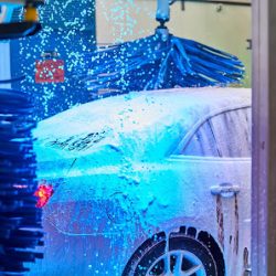 Negocio Go Car Wash (Lavado de autos en Laredo)