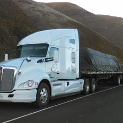 Negocio Jit Transport Llc (Servicios de mudanza express en Laredo)