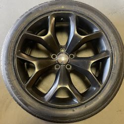Negocio La Llantera - Tire Shop 956 (Gomeria en Laredo)