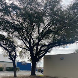 Negocio Laredo Eye Institute (Opticas en Laredo)
