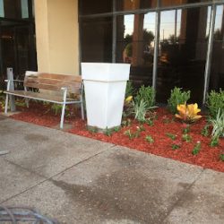 Negocio Laredo Lawn, Inc. (Mantenimiento de jardines en Laredo)