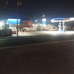 Negocio Laredo Taco Company (Taquerias en Laredo)