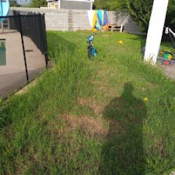 Negocio Laredo's Best Landscapers (Jardineros en Laredo)