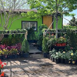 Negocio Magnolia Garden Center (Jardineros en Laredo)