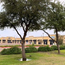 Negocio Orthopedic Physical Therapy: Laredo North (Fisioterapeutas en Laredo)