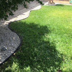 Negocio Roman Landscaping (Jardineros en Laredo)