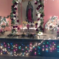 Negocio San Carlos Catholic Mission (Iglesias catolicas en Laredo)