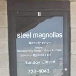 Negocio Steel Magnolias Unisex Salon (Peluquerias en Laredo)