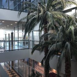 Negocio Unico Real Estate & Investments (Inmobiliarias en Laredo)