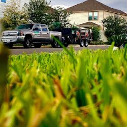 Negocio Unique Lawn Care (Mantenimiento de jardines en Laredo)