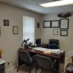 Negocio Valdez Business Consultant Inc (Contadores en Laredo)