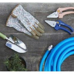 Negocio Walmart House Cleaning Services (Limpieza de casas en Laredo)