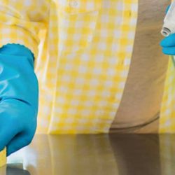 Negocio Walmart House Cleaning Services (Limpieza de casas en Laredo)