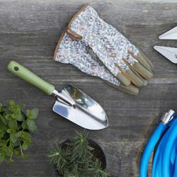 Negocio Walmart Patio & Garden Services (Mantenimiento de jardines en Laredo)