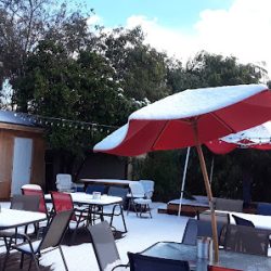 Negocio Wizard Wicks Pizza (laredo'soriginal) (Restaurantes en Laredo)